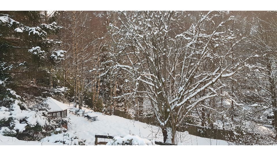 Slideshow 5 - Slide 3